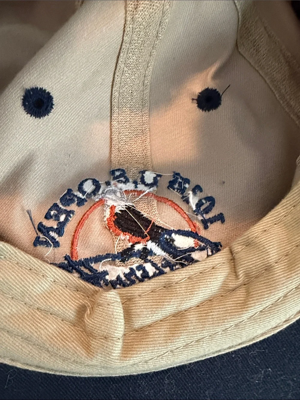 Vintage 101st U.S. Open Golf Southern Hills OK USGA member hat ball cap